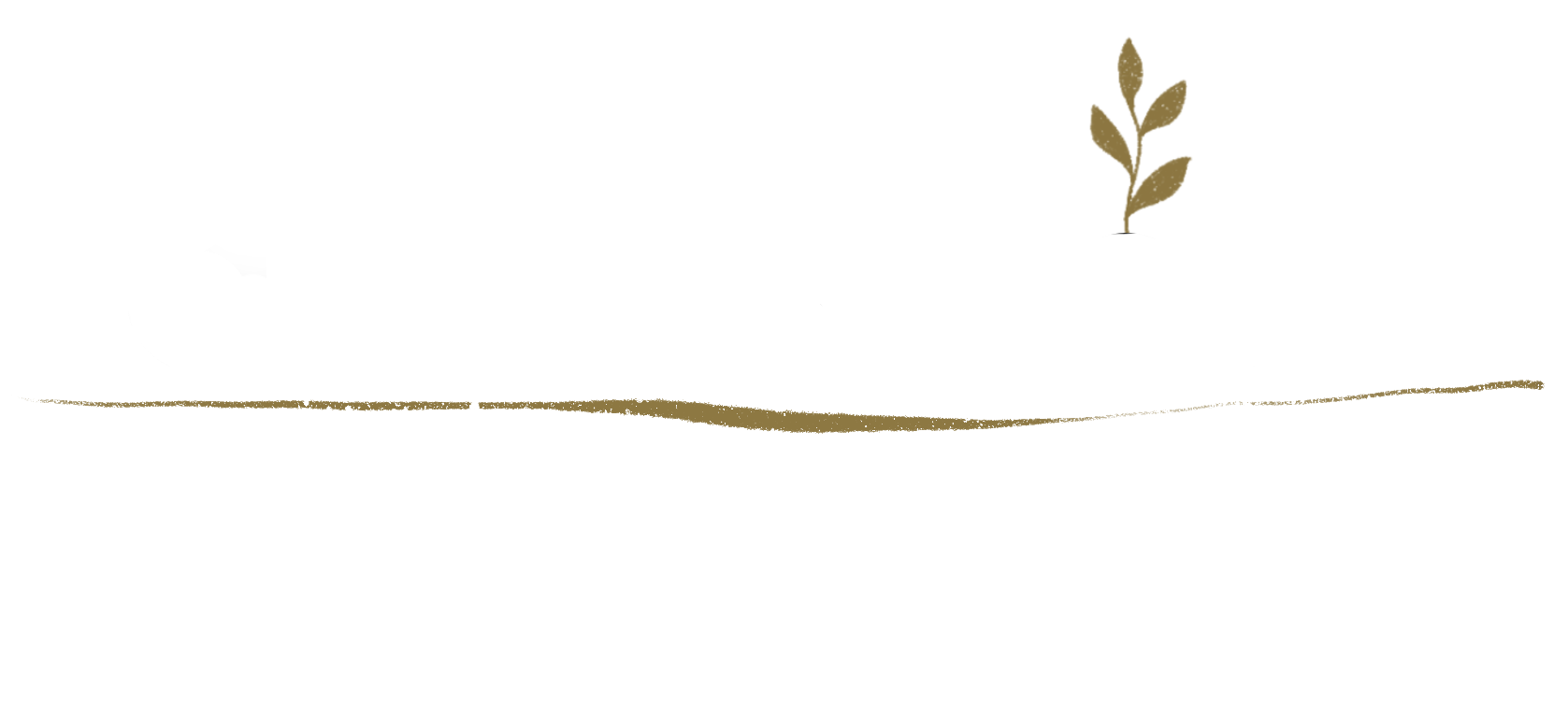 Deborah Joyce